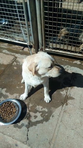 Kiambu Road Veterinary Clinic