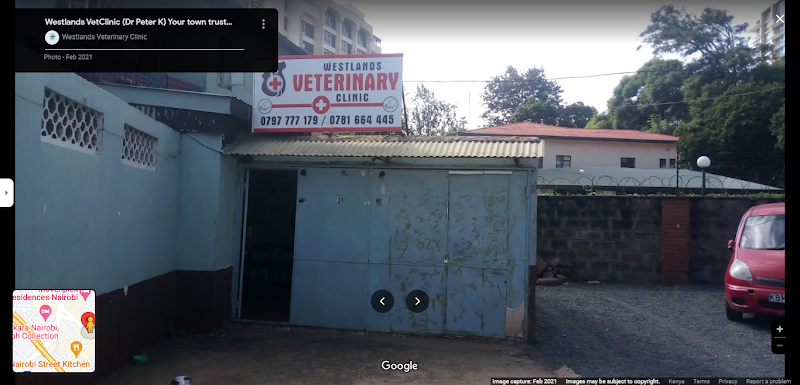 Westlands VetClinic (Dr Peter K) Your town trusted vet