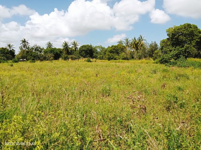 Madaraka Homes Limited