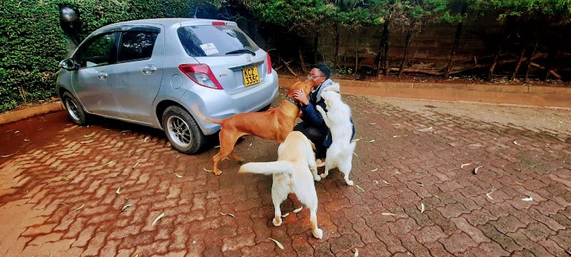 MOBIVET VETERINARY CLINIC (24/7 Emergency Response)