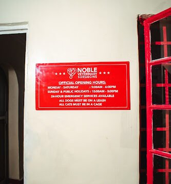 AF1QipPXbY48VM4chySEJ633sqY9QWSbwt0xGWrmCXwEw800-h500-k-no-1.jpg